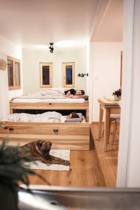 OberschneidingWohnwagon Paul - Autarkie Erleben! - Tiny House别墅 外观 照片